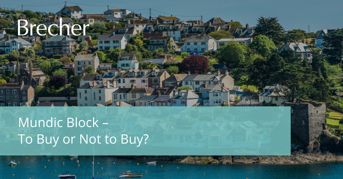 Mundic Block To Buy or Not to Buy? Brecher